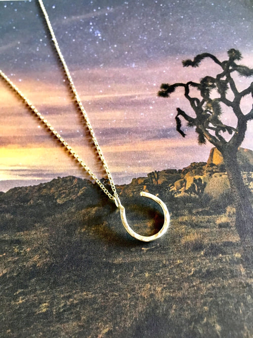Lucky Horseshoe Charm Necklace