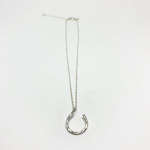 Lucky Horseshoe Charm Necklace